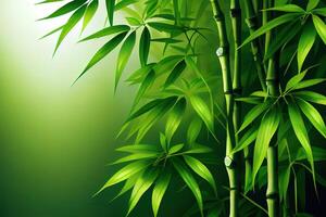 Green bamboo background fresh leaves on tree as nature ecology and environment concept. photo