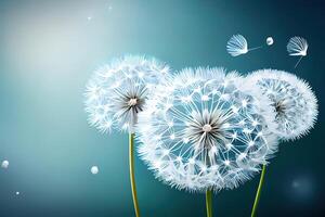 Seamless dandelion pattern. photo