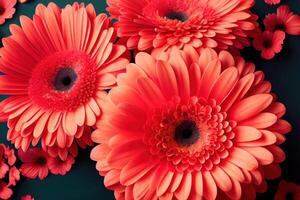 Floral flat lay greeting card template with beautiful gerberas. photo