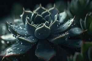 Green succulent plant with water drops. A striking macro shot. photo