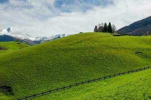 Fence that delimits the border between one agricultural photo