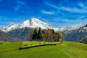 Hill in spring with snow capped mountains photo