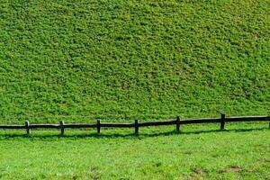 Fence that delimits the border between one agricultural photo