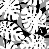 seamless black and white pattern of tropical leaves contours, texture, background photo