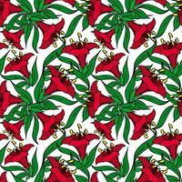 seamless pattern of red large exotic flowers with a black outline on a white background, texture, design photo