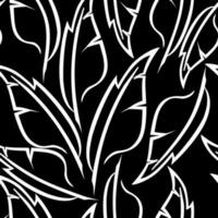 white graphic drawing of stylized feathers on a black background, texture, design photo