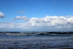 Coast of the Mediterranean Sea in northern Israel. photo