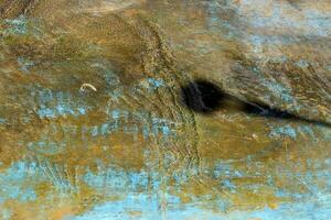 The color of sea water on the Mediterranean coast. photo