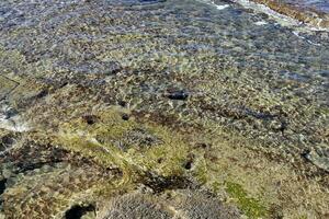 The color of sea water on the Mediterranean coast. photo