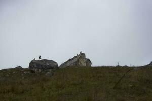 mountain landscape rock stones clouds in the sky grass photo