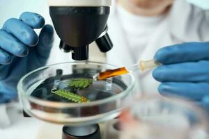 woman scientists microscopes research diagnostics work photo