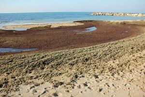 costa del mar mediterráneo en el norte de israel. foto