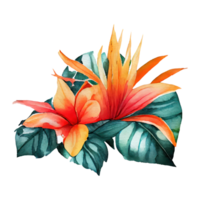 Tropical leaves in watercolor . png