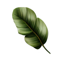 tropicale le foglie nel acquerello . ai generato png