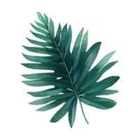 Tropical leaves in watercolor . png