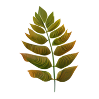 Tropical leaves in watercolor . png