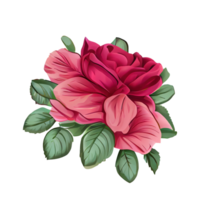 Rose acquerello . ai generato png