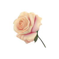 rosas acuarela . ai generado png