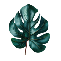 tropical feuilles dans aquarelle . ai généré png