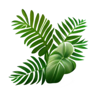 Tropical leaves in watercolor . png