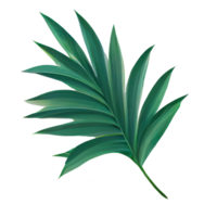 Tropical leaves in watercolor . png