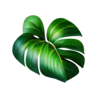 tropical hojas en acuarela . ai generado png
