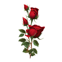 Rose acquerello . ai generato png