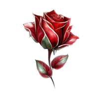 des roses aquarelle . ai généré png