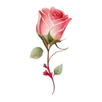 des roses aquarelle . ai généré png