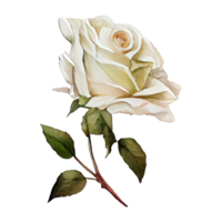 Rose acquerello . ai generato . ai generato png