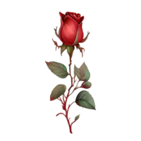 Rose acquerello . ai generato png