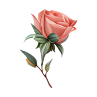 rosas acuarela . ai generado png