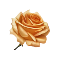 des roses aquarelle . ai généré . ai généré png