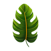 Tropical leaves in watercolor . png