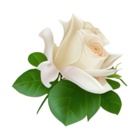 Rose acquerello . ai generato png