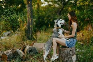 Woman and her husky dog happily playing outdoors in the park among the trees smile with teeth in the autumn walk with her pet photo