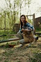 al aire libre en el aves de corral bolígrafo, un joven mujer granjero alimenta Fresco verde césped a joven tendido gallinas y sonrisas foto