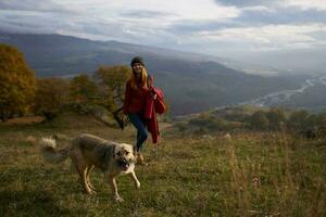 women walking next to the dog in nature landscape mountains travel photo