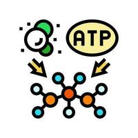 anabolism biochemistry color icon vector illustration