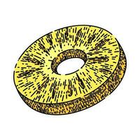 pineapple slice round sketch hand drawn vector