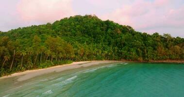 aéreo zumbido ver de el tropical playa con claro turquesa mar, blanco arena y palma árbol video