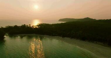 aéreo zumbido ver de el tropical playa con blanco arena y palma árbol a el puesta de sol video