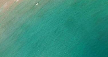 aérien drone vue de le tropical plage avec blanc le sable et paume arbre video