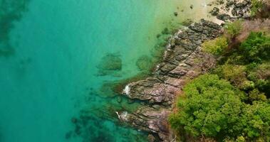 aéreo zumbido ver de el rocoso línea costera con claro turquesa mar y palma árbol video