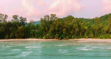 aereo fuco Visualizza di il tropicale spiaggia con chiaro turchese mare, bianca sabbia e palma albero video