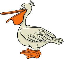 pelican bird animal character cartoon illustration vector