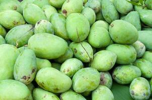 pile of fresh green mango fruit in market at thailand photo