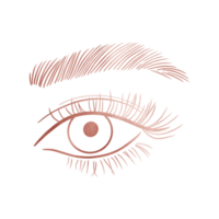 Pink Woman Eye Lash Brow png