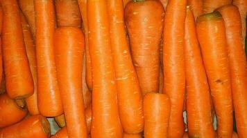 Fresh produce of carrots spring food vegetable. Fresh big orange carrot texture background photo