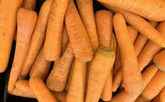 Fresh produce of carrots spring food vegetable. Fresh big orange carrot texture background photo